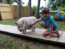 This is Flower our 3 year old pot belly pig!