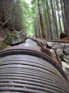 Wooden Drainage Pipe, Carter Falls Trail, Mt. Rainier