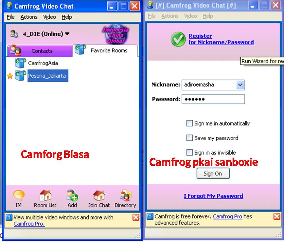 Program Camfrog