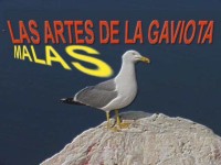[GAVINA.jpg]