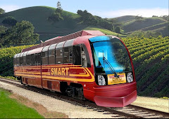 SMART train is stupid as predicted.
