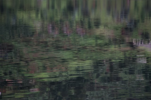 [monet.JPG]