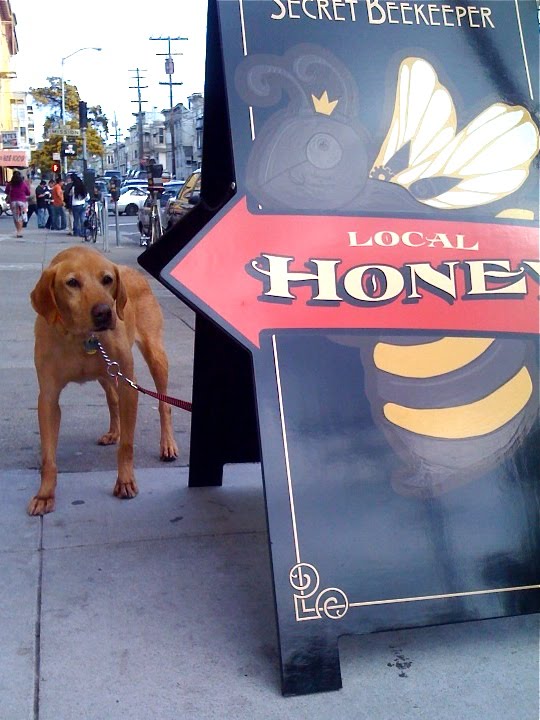 [honey.jpg]