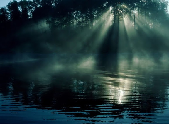 Light