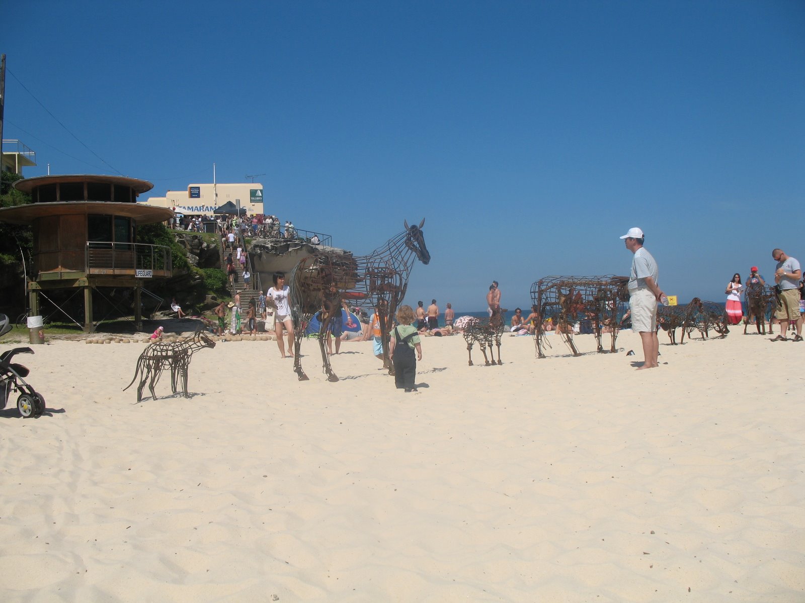 [IMG_0532.JPG]