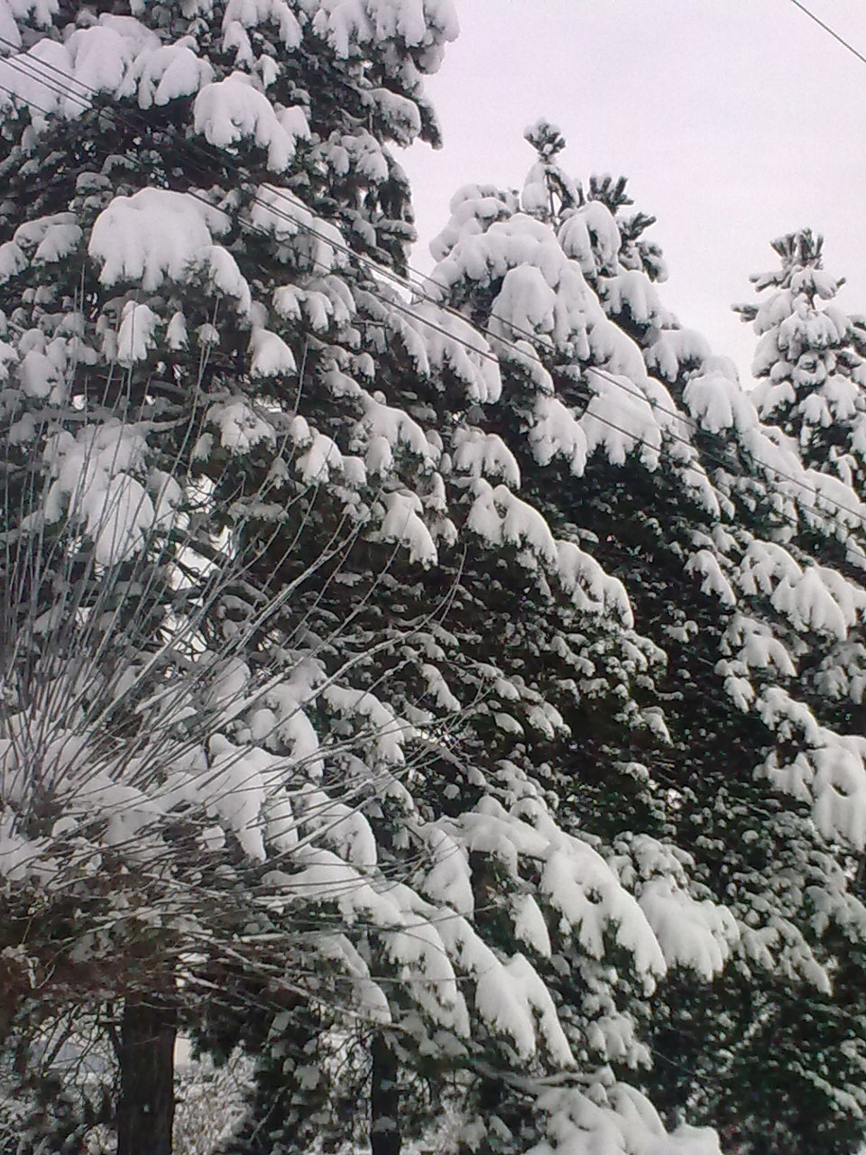 [Image0602.jpg]