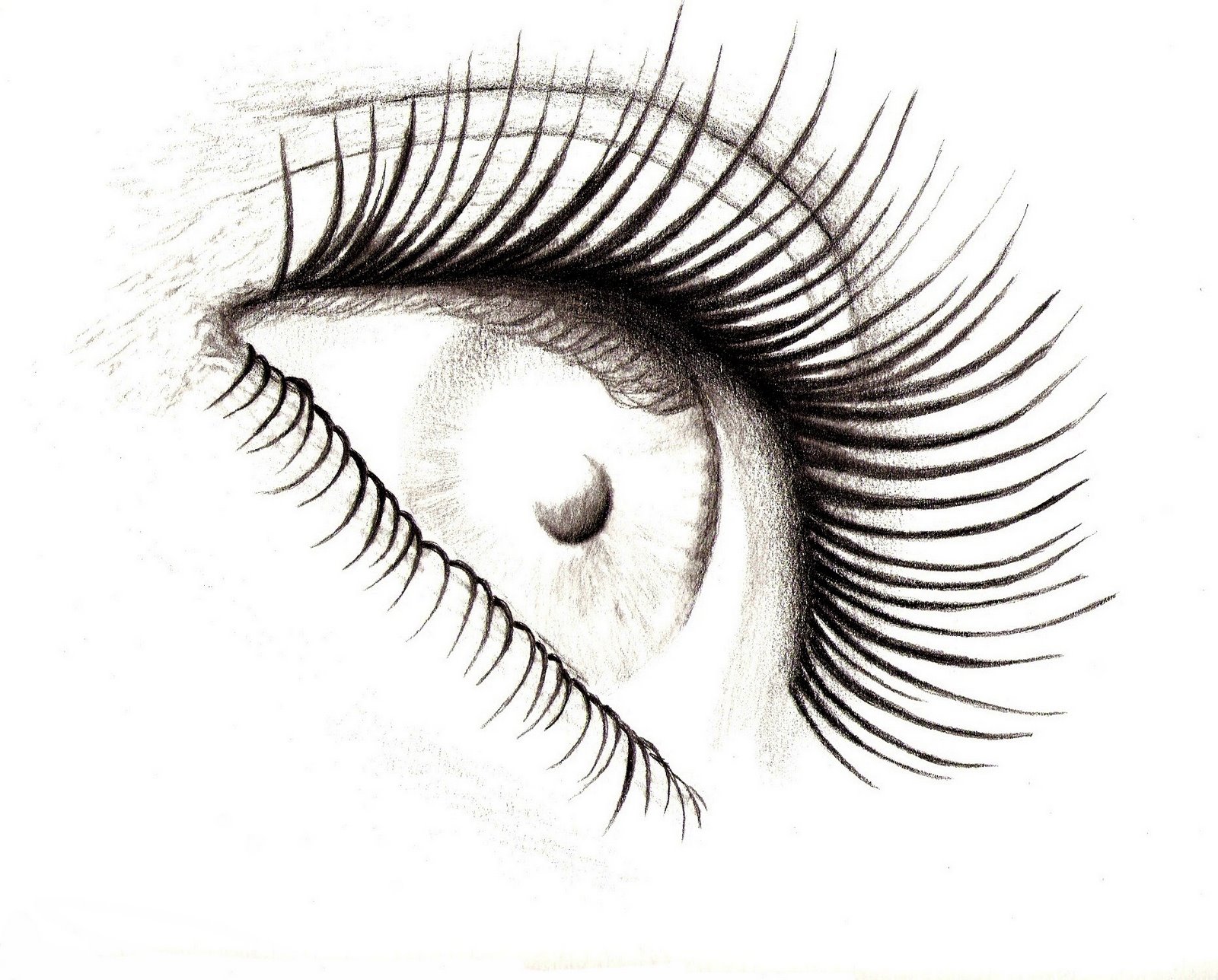 [eye.jpg]