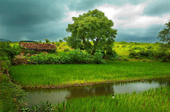 Konkan village