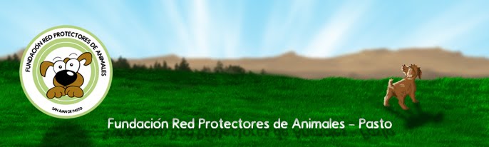 Fundación Red Protectores de Animales