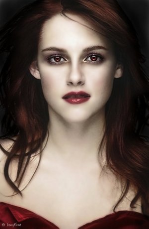 breaking dawn breaking dawn