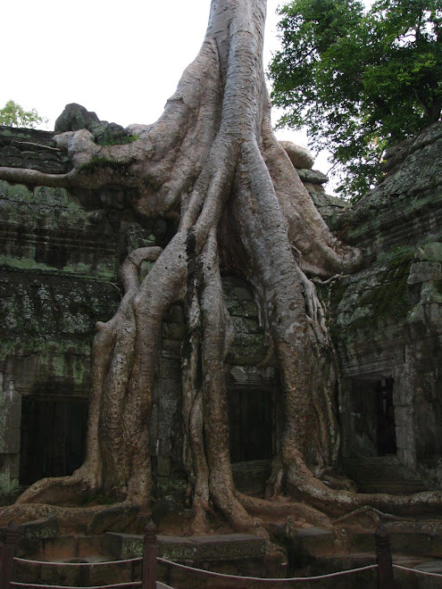 drugi dzien w Angkor
