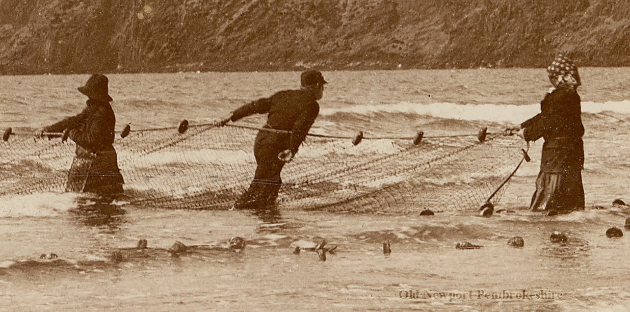 Old Newport Pembrokeshire Seine Net Fishing on Traeth Mawr