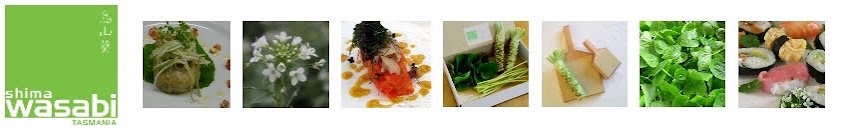Shima Wasabi