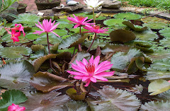 be a lotus