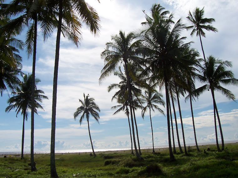 enjoy the nature