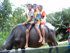fun with animal