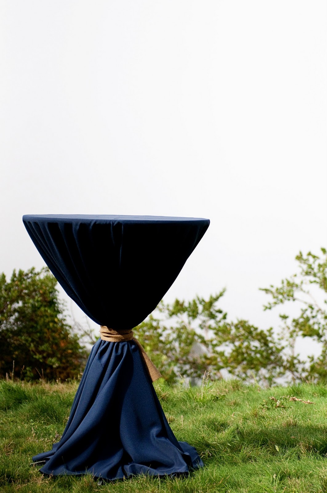 freckles and blondie Burlap Table Ties