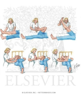 physiotherapy