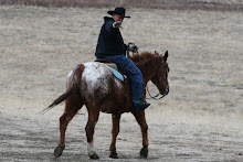 Stan waves on Chief