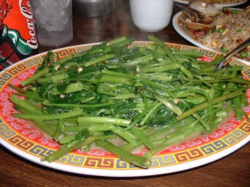 food benefits vegetable kale for health food vegetable kale benefits for health
