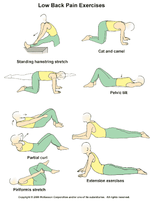physiotherapy back exercise