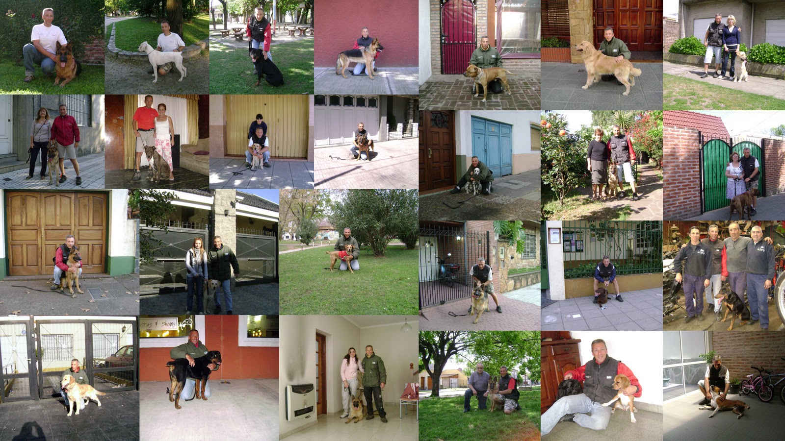 EGC Adiestramiento Canino: Collage de Imágenes