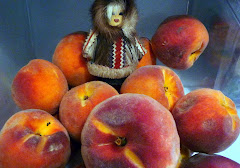 Western Slope Peaches - yum!!
