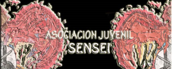 ASOCIACION JUVENIL SENSEI