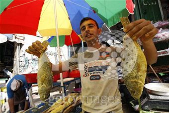 [Gaza%20stall%20holder%20sells%20fish,%20september%202009.jpg]