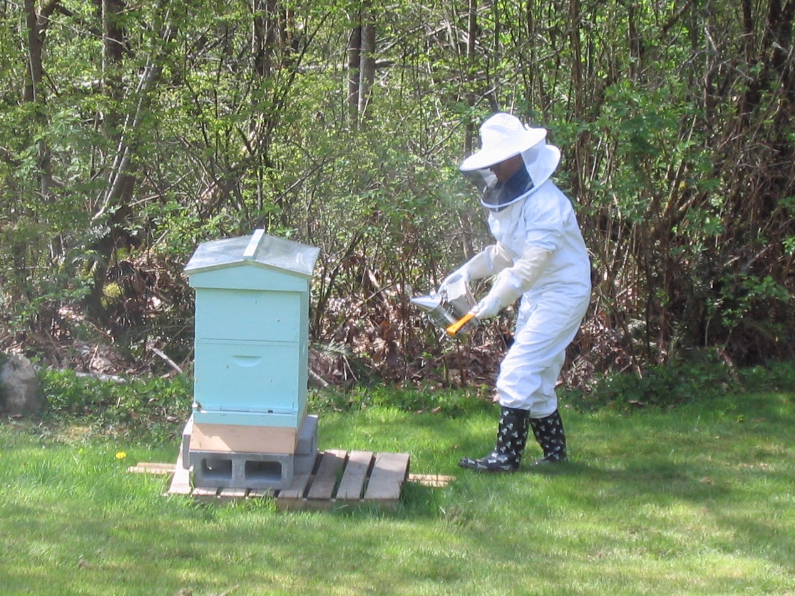 [MOM+AND+HER+BEES+001.jpg]