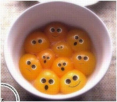 huevos huevos