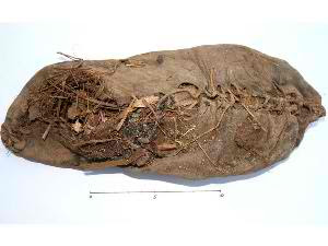 Sepatu tertua berusia 5000 tahun Sepatu tertua berusia 5000 tahun