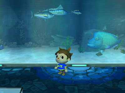 animal crossing napoleon fish aquarium fishing