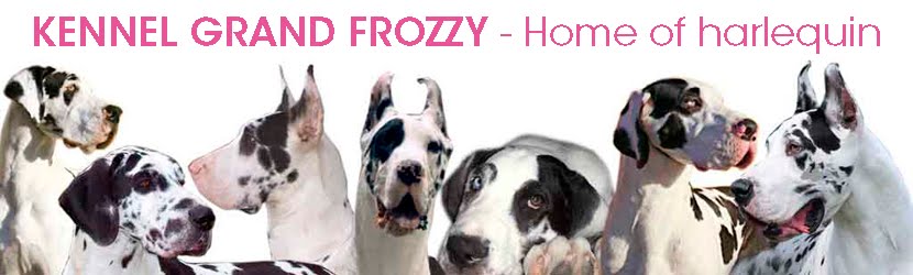 Kennel Grand Frozzy - Home of harlequin