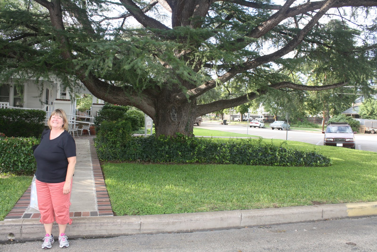Primitives by the light of the moon Fredericksburg Star Rug Camp