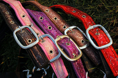 Fancy Horse Bridles