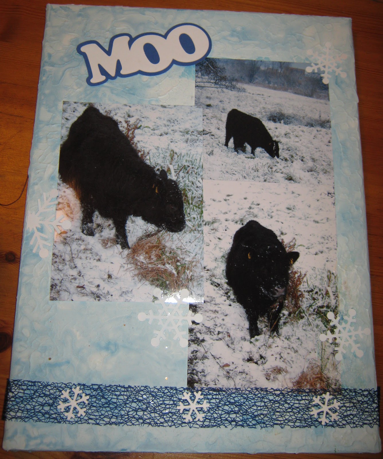 Wilma's hobbies: december 2010