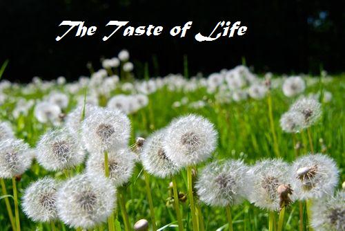 The Taste Of Life
