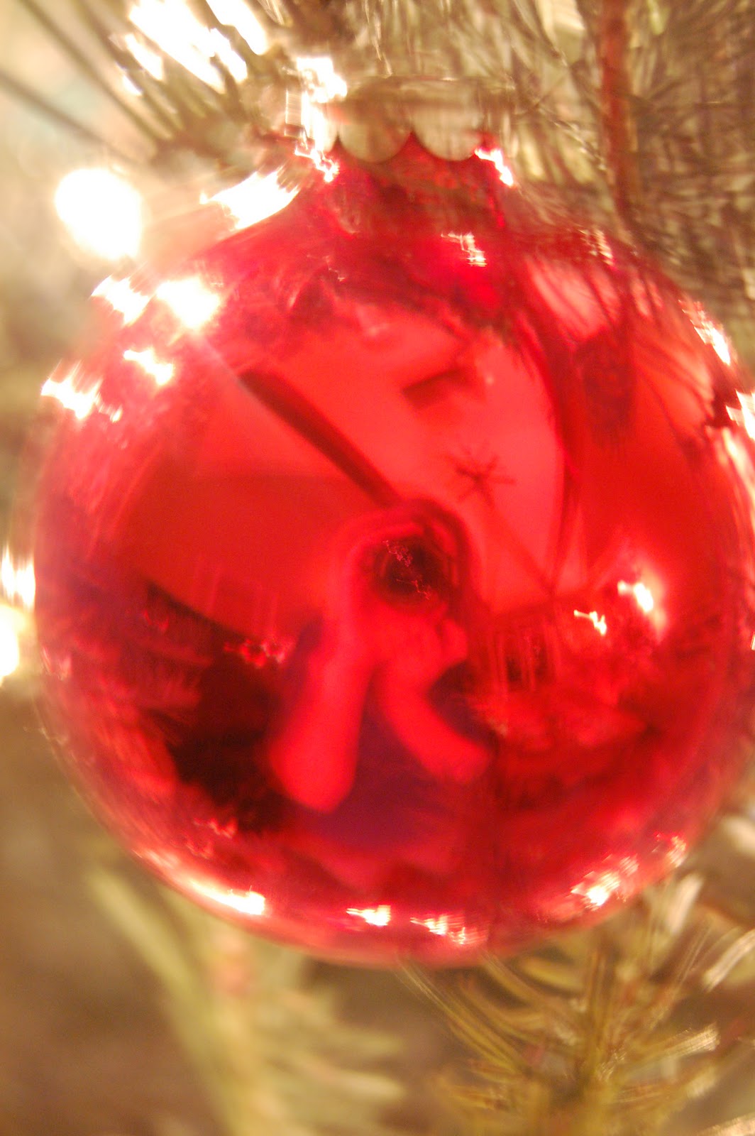 Views From My Kitchen Sink Stop and Smell the Christmas Tree