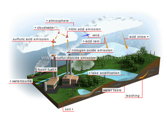 Environmental Science: Acid Rain and Its Effects diagram of the sulfur cycle 
