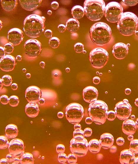 [Bizarre+Art+of+Bubbles+in+Photography+and+Nature24.jpg]