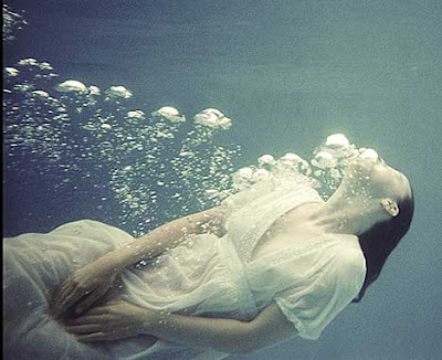 art nature photography