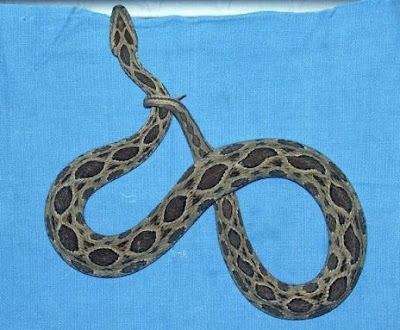 Dangerous Snake Seen On www.coolpicturegallery.us Dangerous Snake Seen On www.coolpicturegallery.us