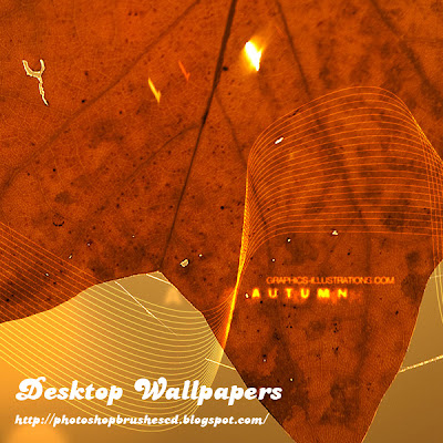 autumn desktop wallpaper. Download desktop wallpapers