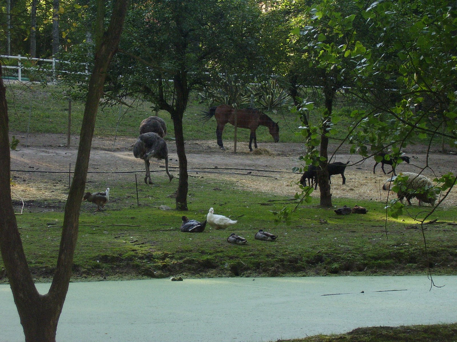 [P6100023.JPG]