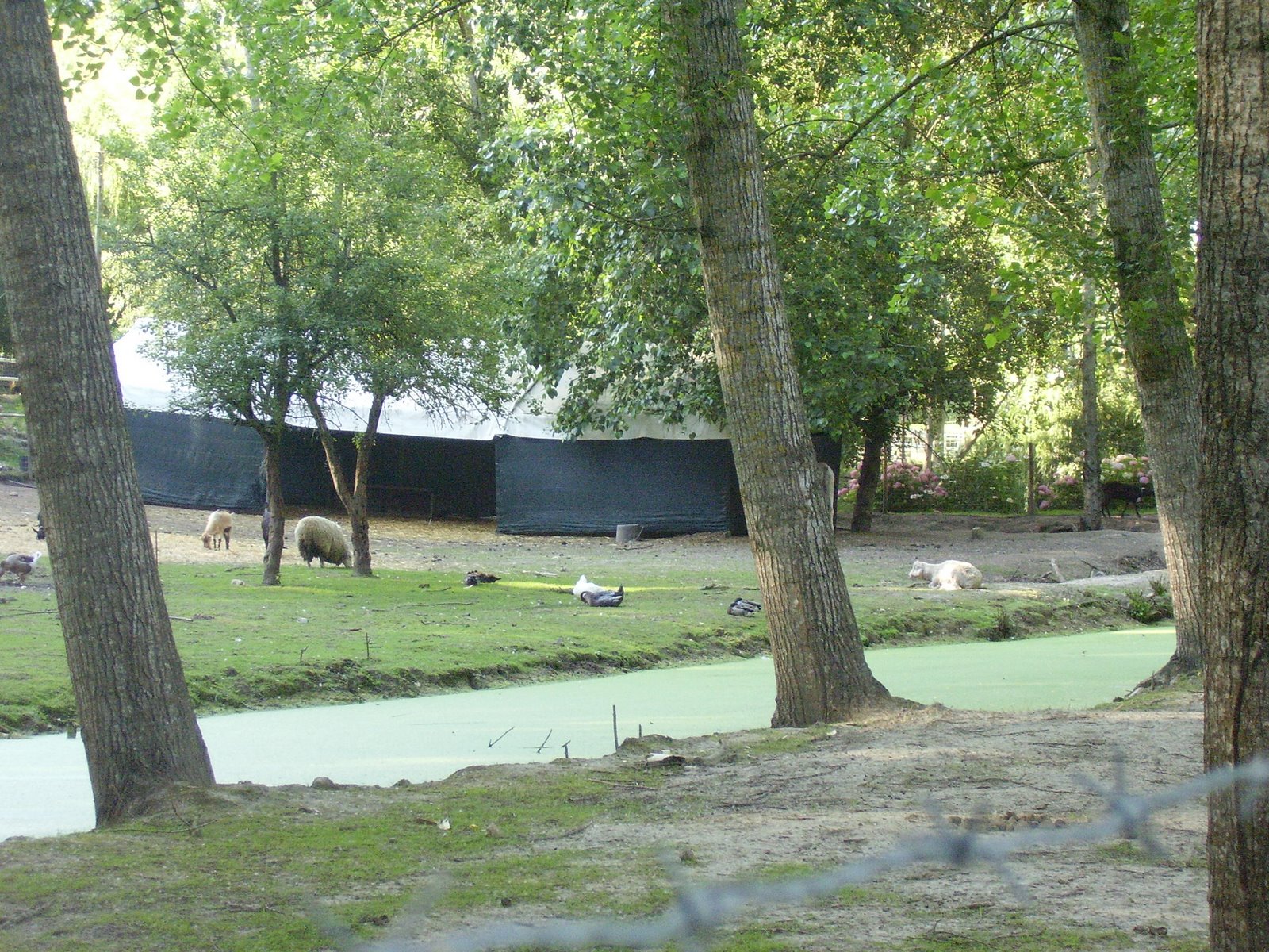 [P6100020.JPG]