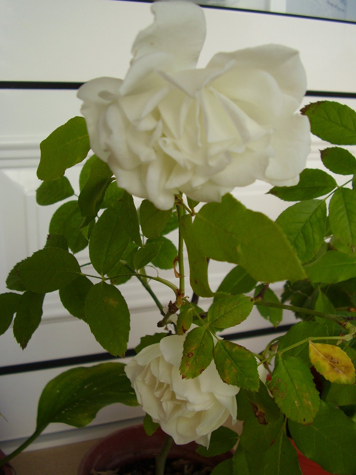 [P7310041.JPG]