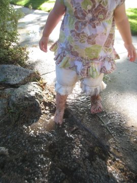 [IMG_2329.jpg]