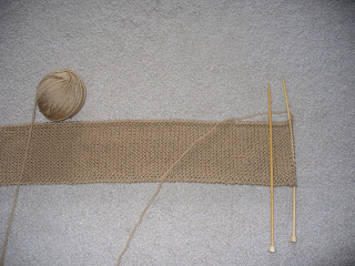 RS1