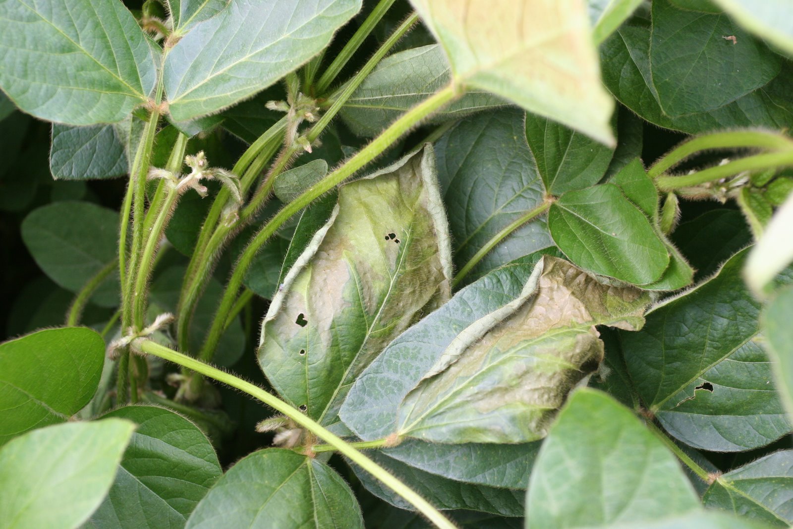 [IMG_6040.jpg]